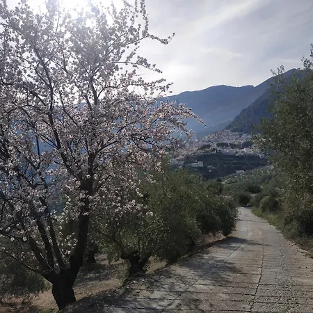 Casa Rural Maestros *